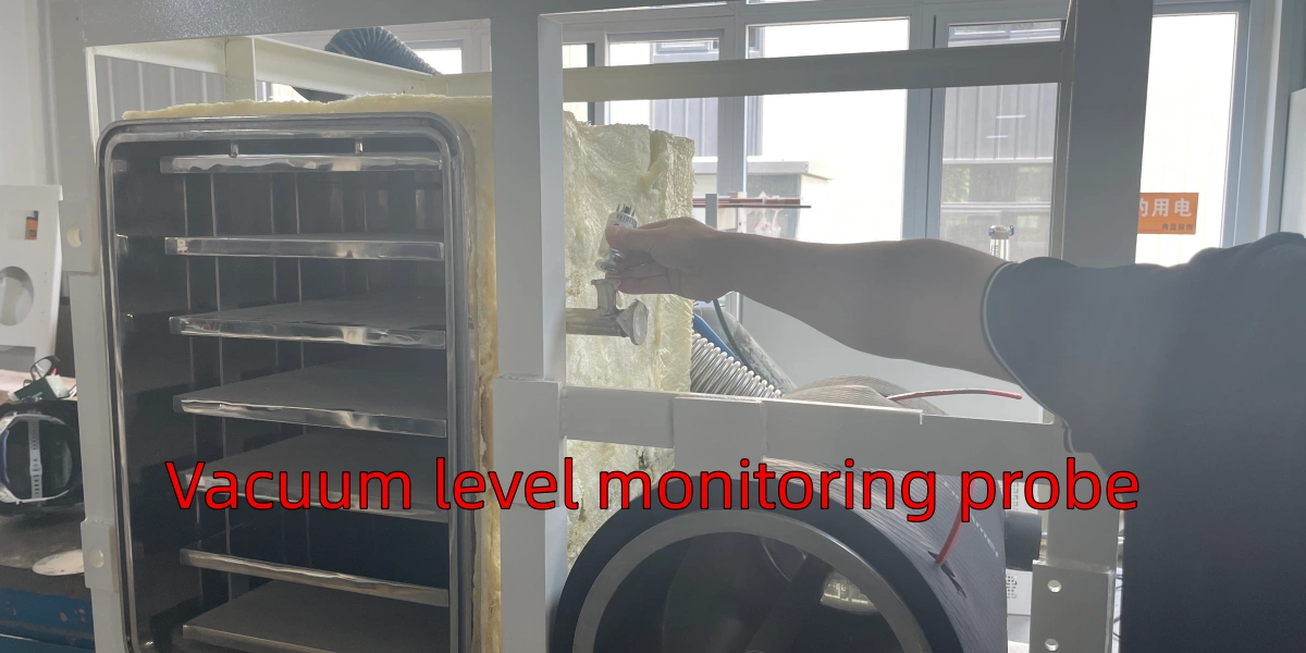 Vacuum sensor contamination and flange micro leakage in freeze dryers